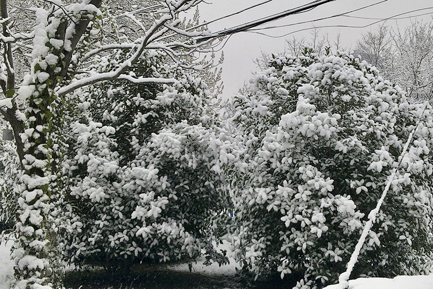alt 雪景，膨化食品